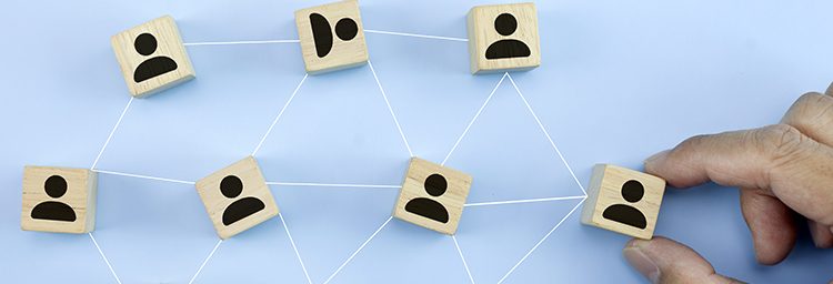 În organigramă se reflectă schimbările organizaționale din firmă